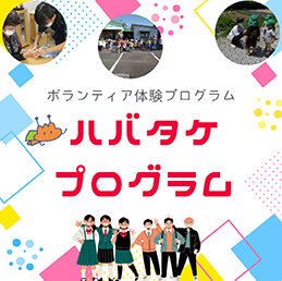 ハバタケプログラム